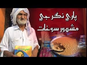 Read more about the article Delicious Gift of Paari Nagar – Sufi Ahmed Khan – Virawah