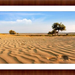 Desert of Thar